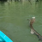 Oda ve Kahvaltı O Berges De 3*
