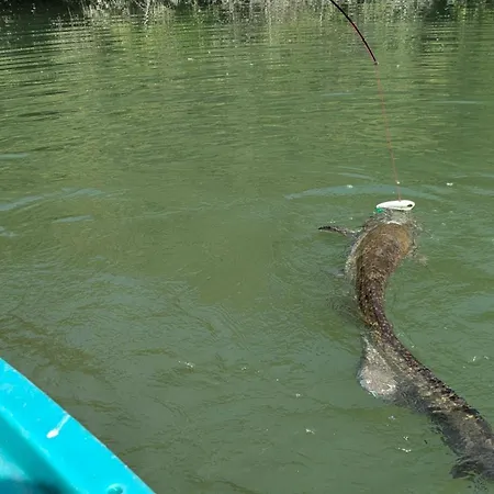 Bed & Breakfast O Berges De 3*