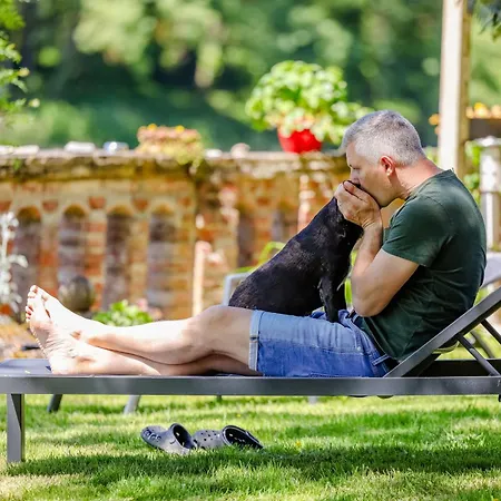 فندق مبيت وإفطار O Berges De Brens (Tarn)